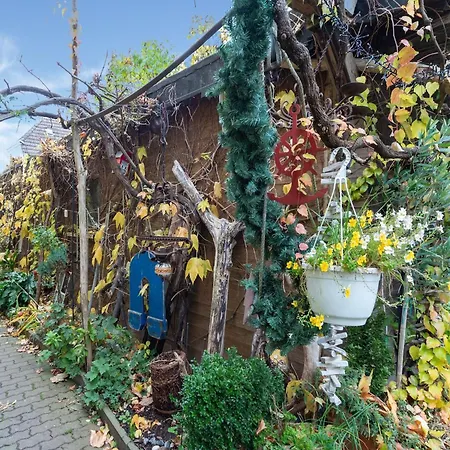 Mit Wintergarten In Wismar, Cleaning Included